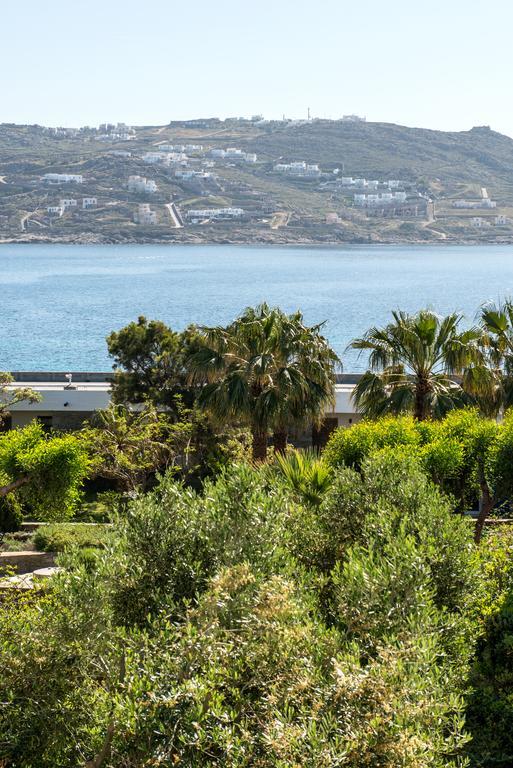 Orpheas Rooms Mykonos Town Ngoại thất bức ảnh